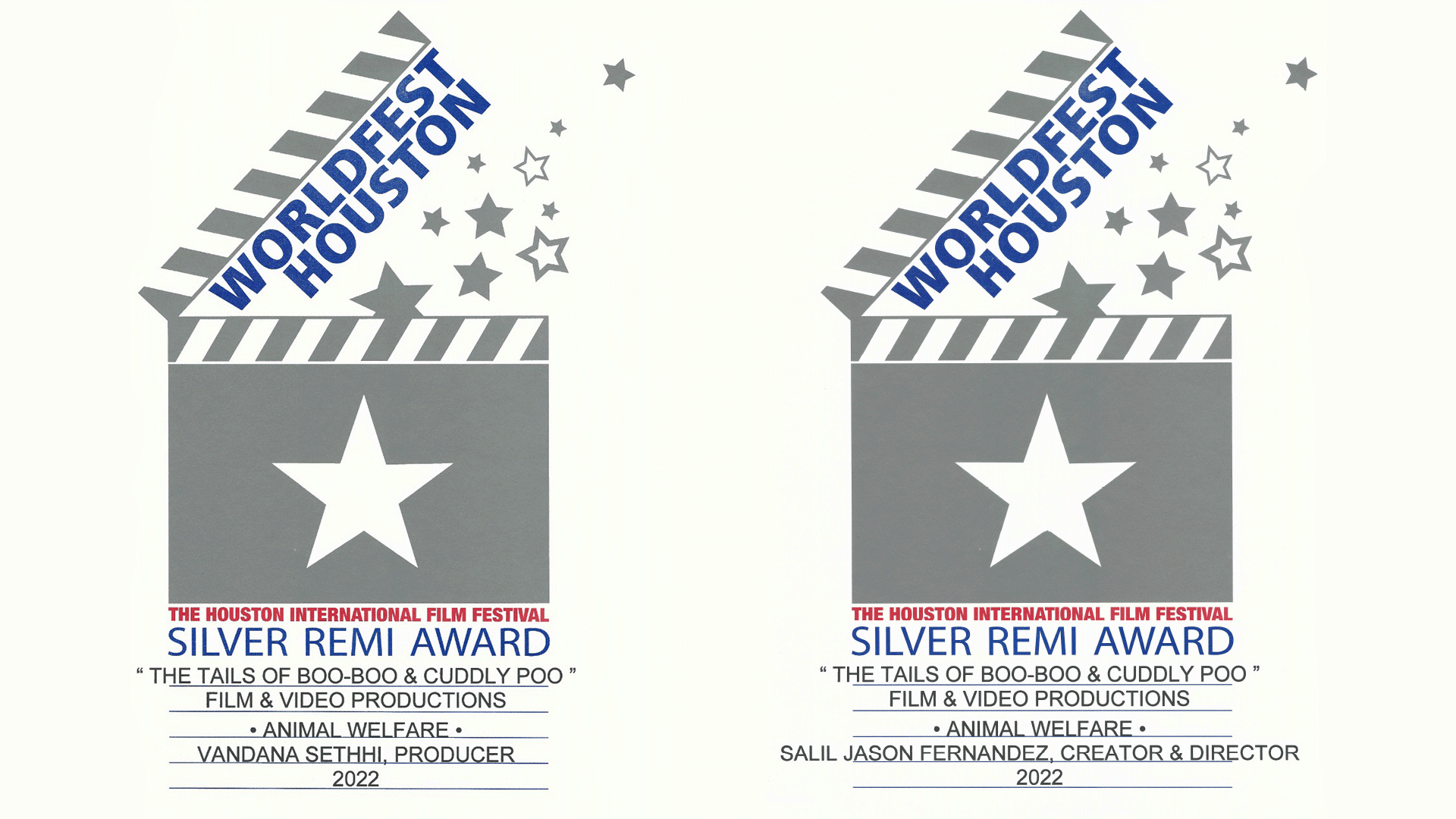 Earth Films gets Silver Remi Award at The Houston International Film Festival