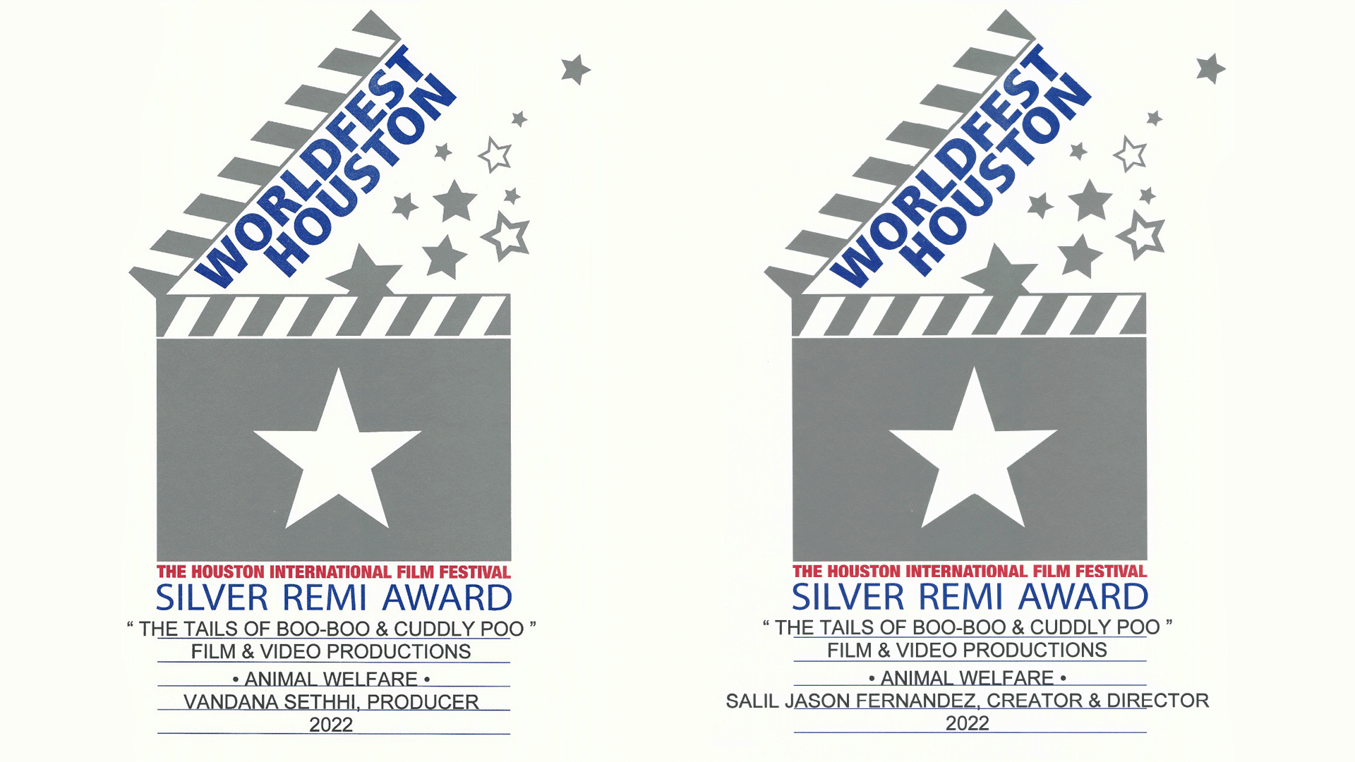 Earth Films gets Silver Remi Award at The Houston International Film