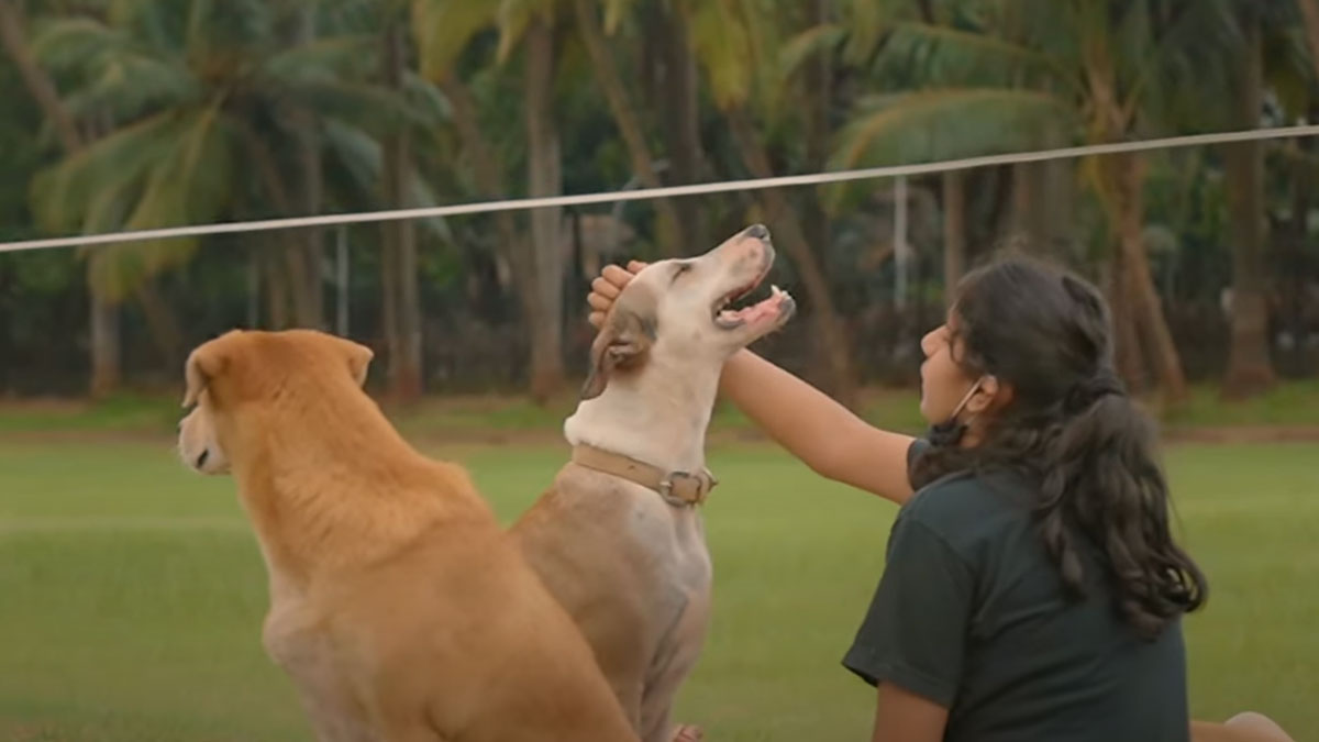 GS, Naam toh suna hoga Ft. Cyrus Broacha! - EarthFilms